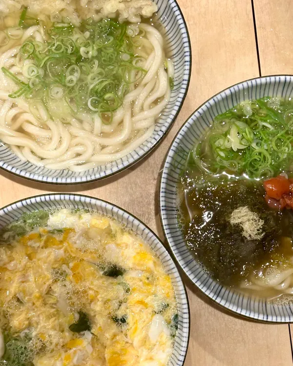 고토히라 사진 5