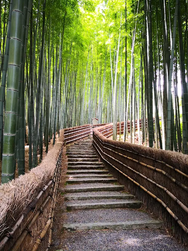 Adashino Nenbutsuji Temple 사진 4