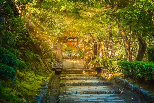 Adashino Nenbutsuji Temple 사진 5