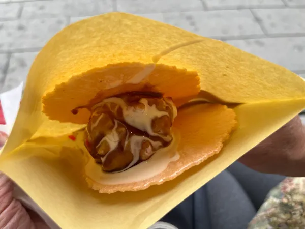 카논 사진 3