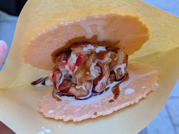 카논 사진 4