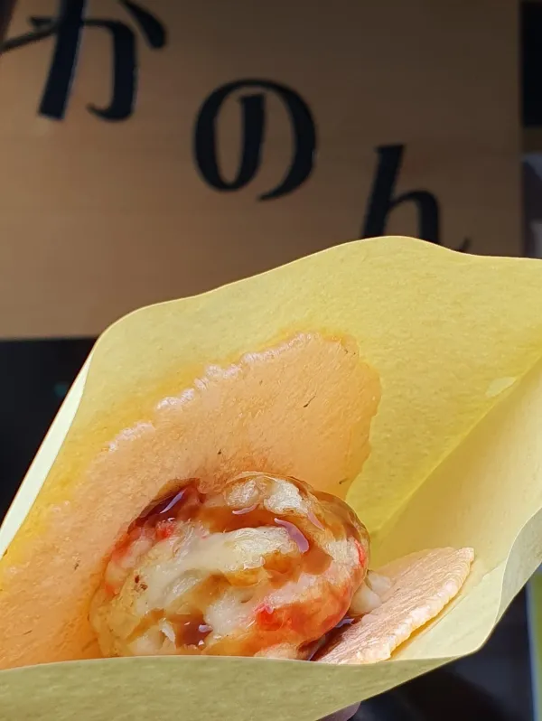 카논 사진 5