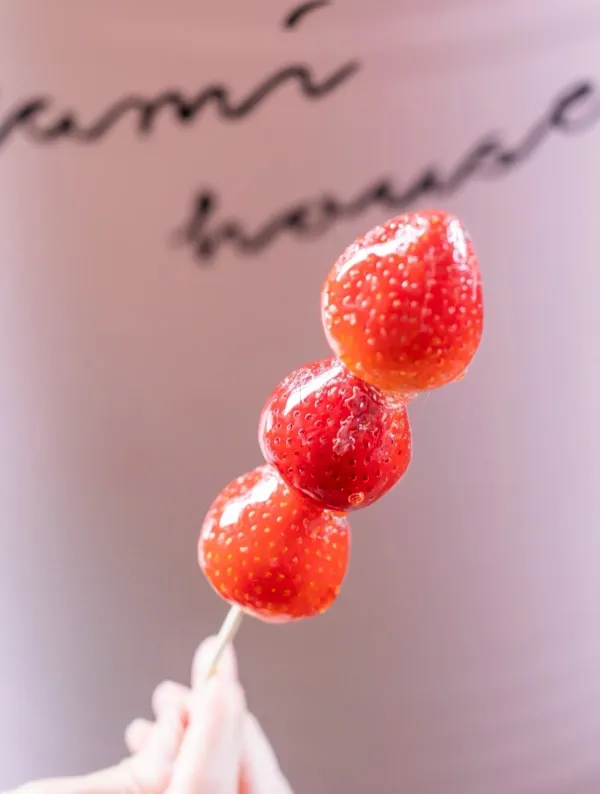 いちごBonBonBerry熱海ハウス 사진 3