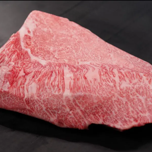 오츠카 사진 5