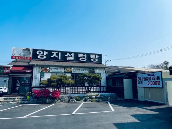 양지설렁탕
