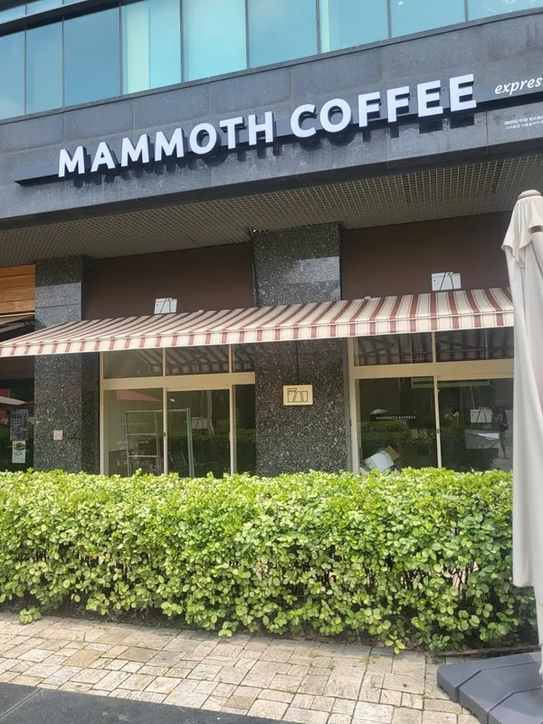 매머드익스프레스 서울숲아이코닉점
