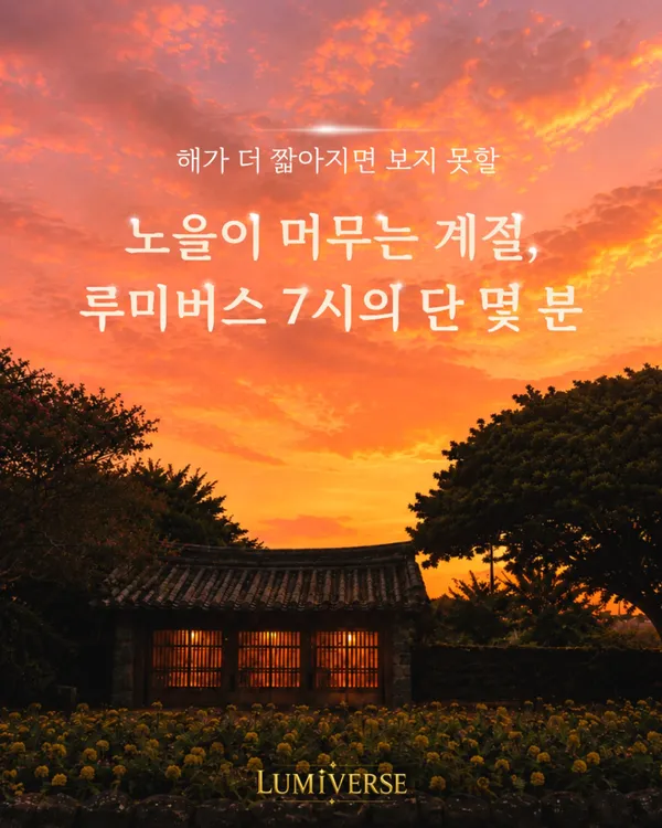 빛의 섬 루미버스