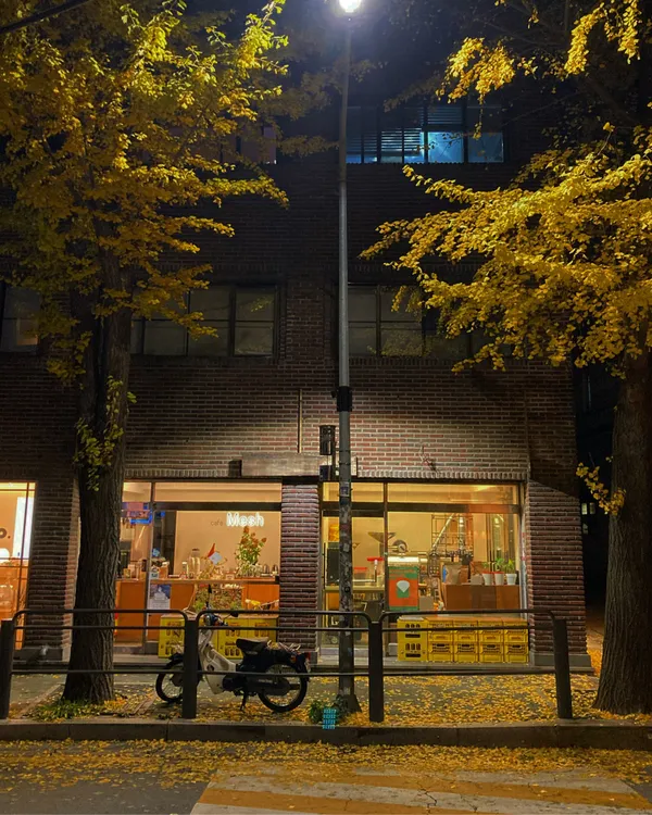 메쉬커피