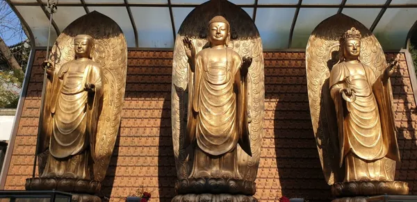 법련사