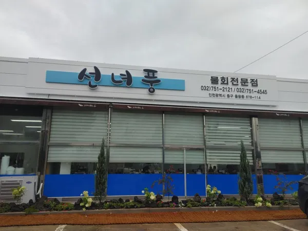 선녀풍