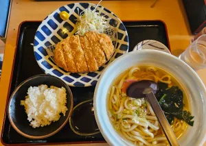 こはるうどん