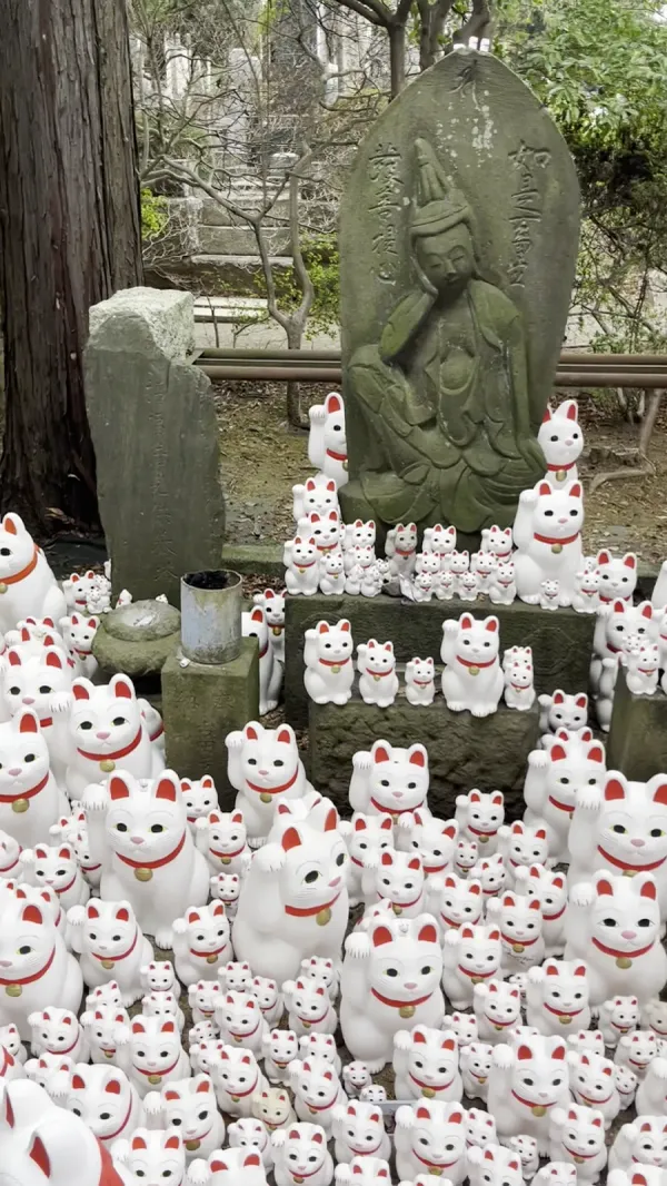 大谿山 豪徳寺の写真4