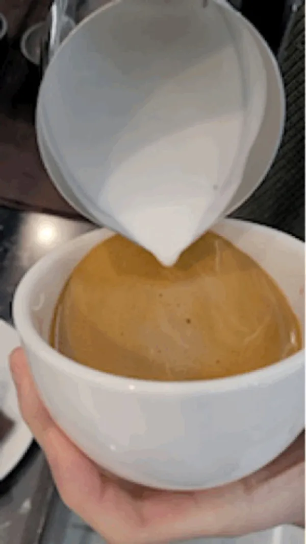 하탐 베이커리 카페