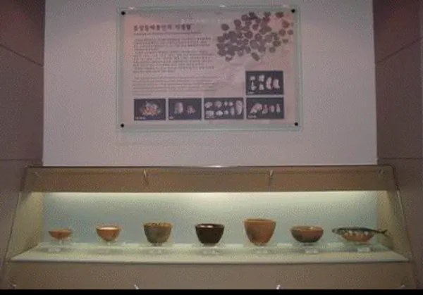 동삼동패총전시관