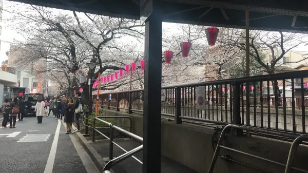 目黒川船入場の写真5