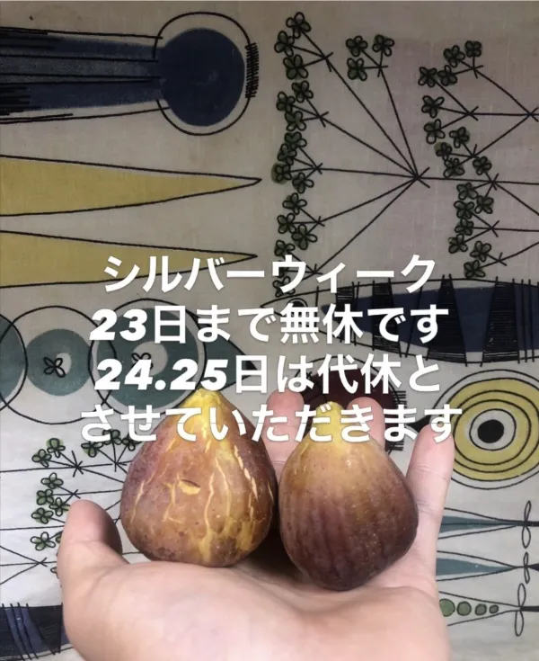 냉과자공방 제노바 사진 5