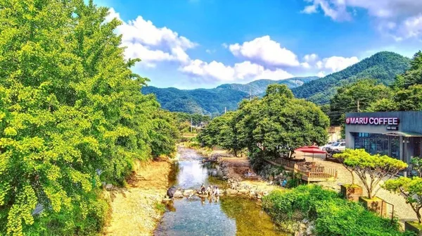 마루커피