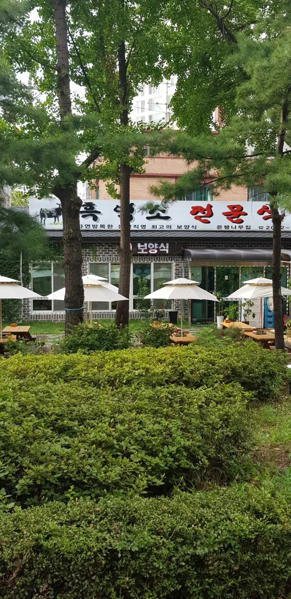 은행나무집