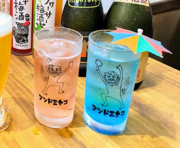 안도미야코 사진 3