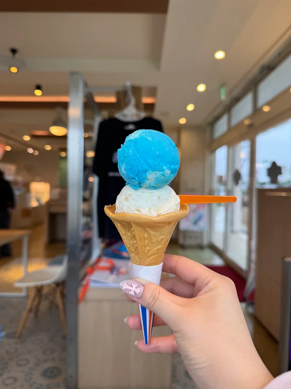 블루씰 아이스크림 Blue Seal Ice Cream 사진 5