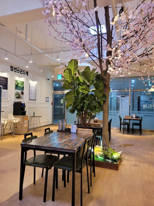 정선산곤드레