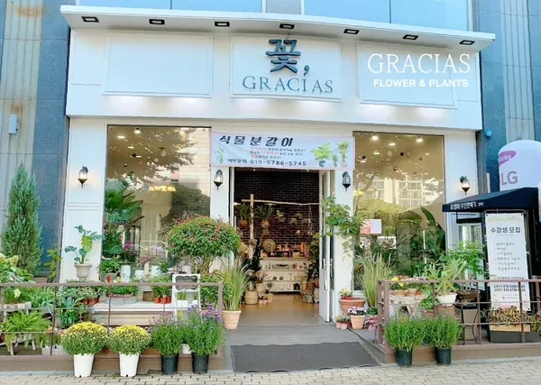 부천꽃집 그라시아스플라워