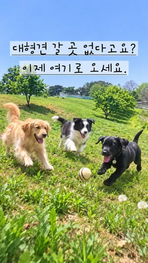 Paju Farm Land