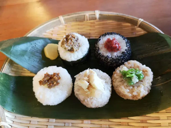 기린 사진 4