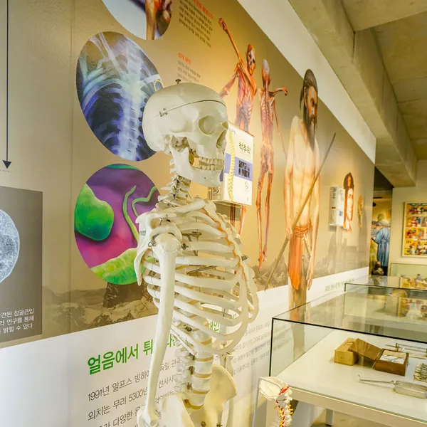 메디테리움 의학박물관