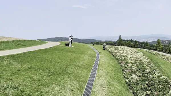 아와지 하나사지키 사진 3