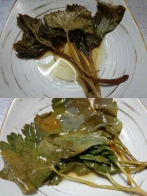 너른마당