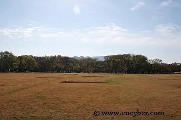 경주계림