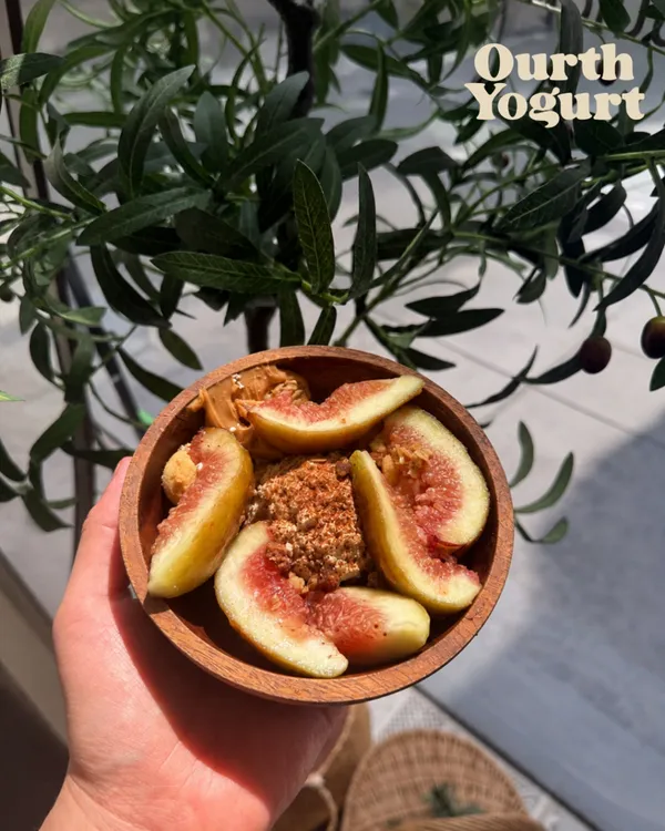 아오스요거트