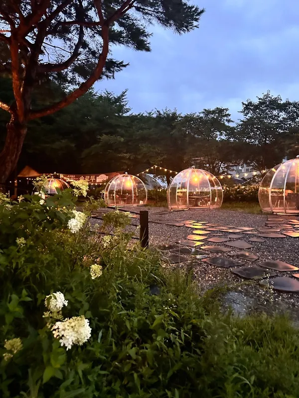 솔로투 용인점