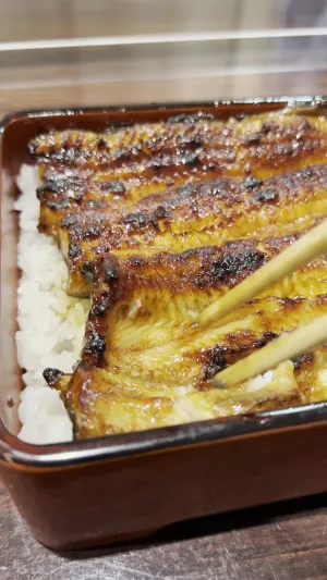うなぎ魚政