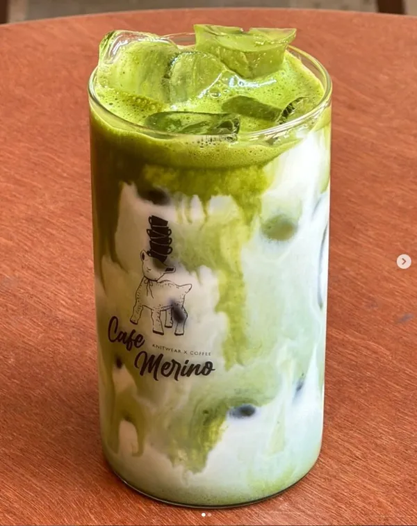 메리노 사진 3