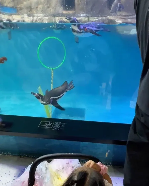 テグアクアリウムの写真4