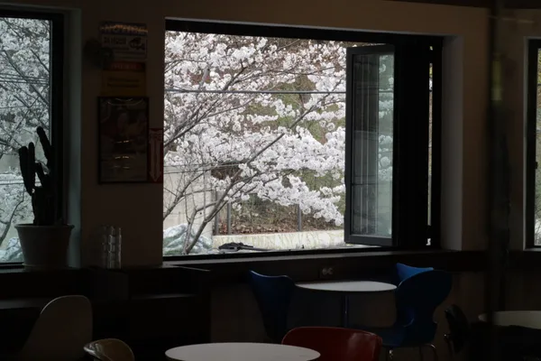 블루마일스커피로스터스