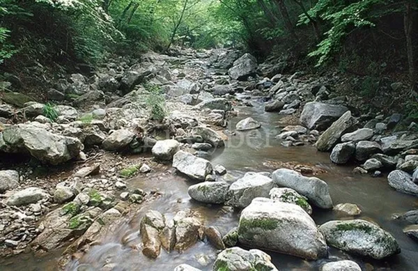 조계산