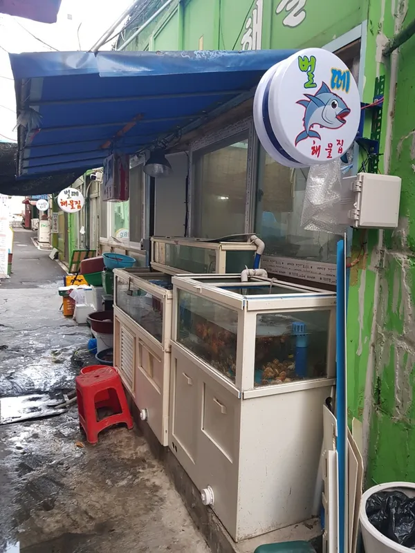 벌떼집