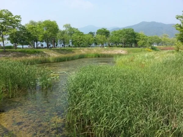 다산생태공원