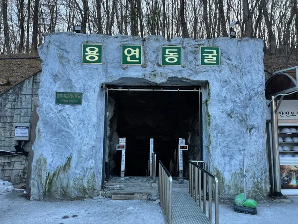 용연동굴