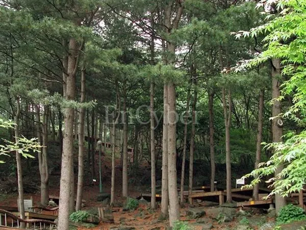 축령산자연휴양림
