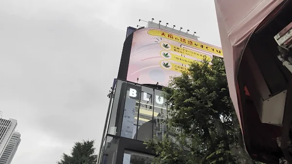크로스 신주쿠 비전 사진 5