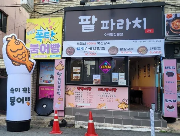 팥파라치