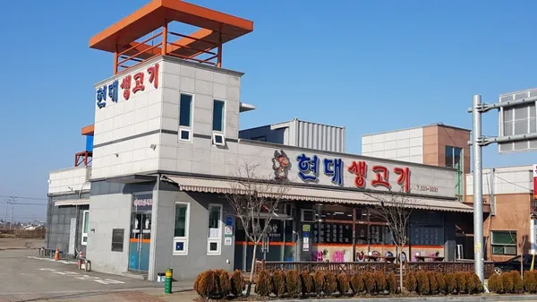 현대생고기