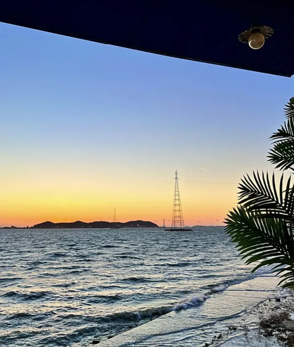 수다카페