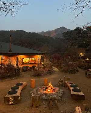 들꽃이야기