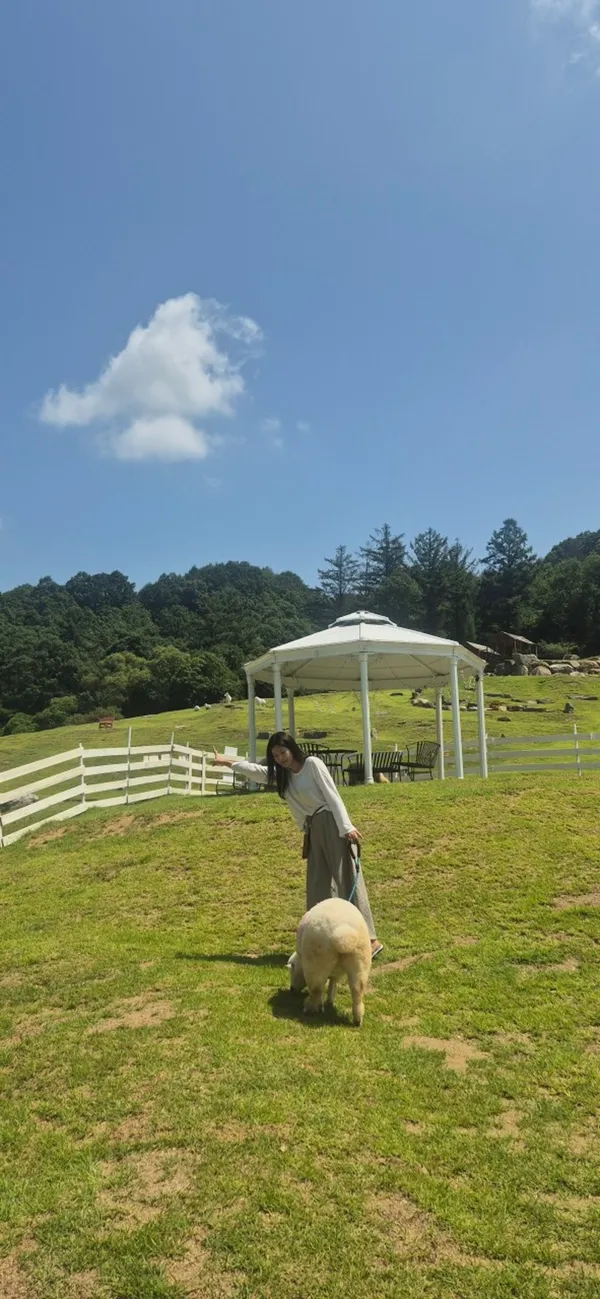 홍천 가볼만한 곳 10곳