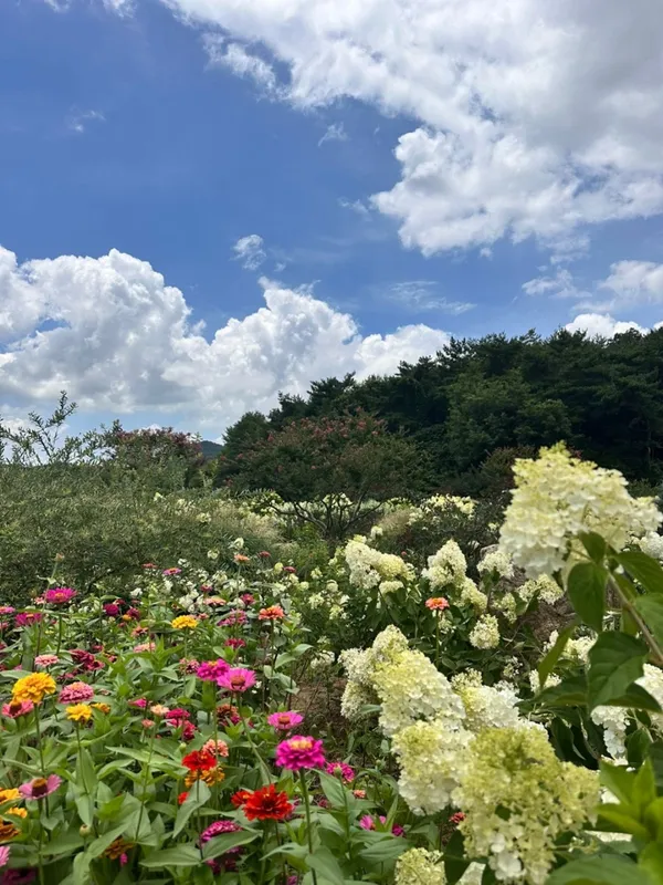 고창 청농원